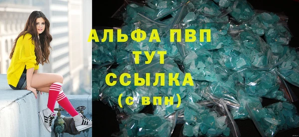 PSILOCYBIN Сосновый Бор