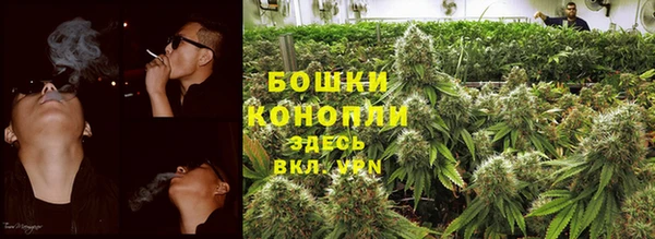 сатива Белоозёрский